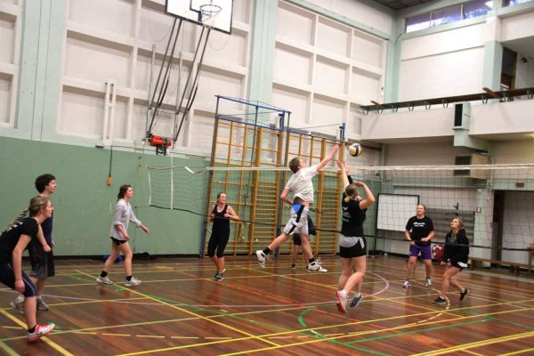 NZDSA Social Sports 2019 - Image 3